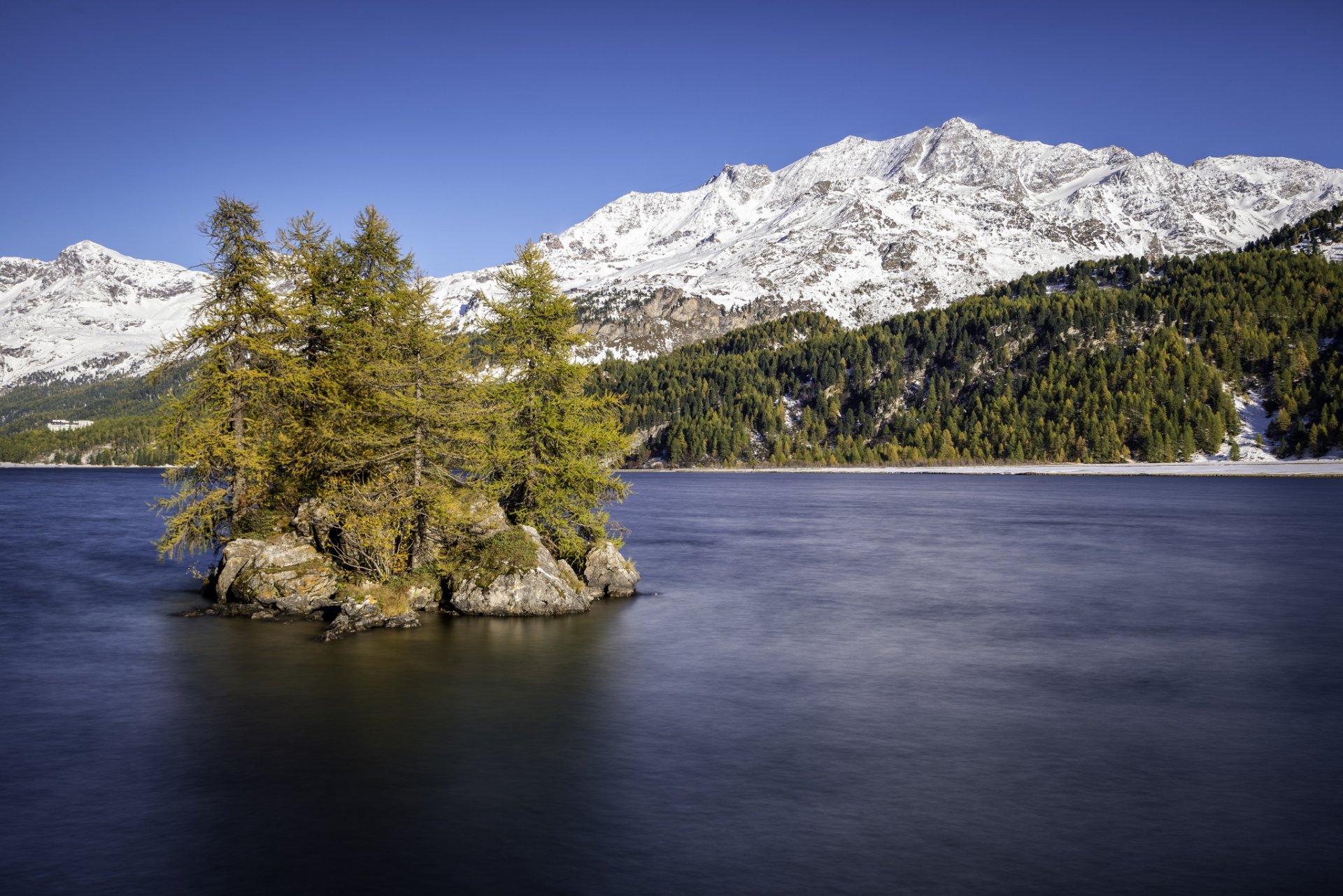 sils-see oberes engadin schweiz see insel bäume berge schnee