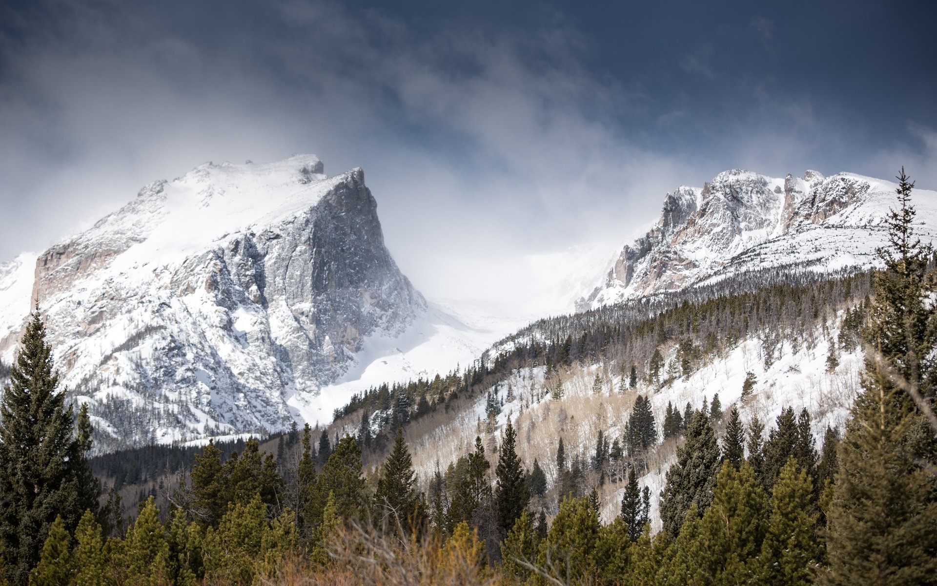 hallett peak berge winter schnee wald natur