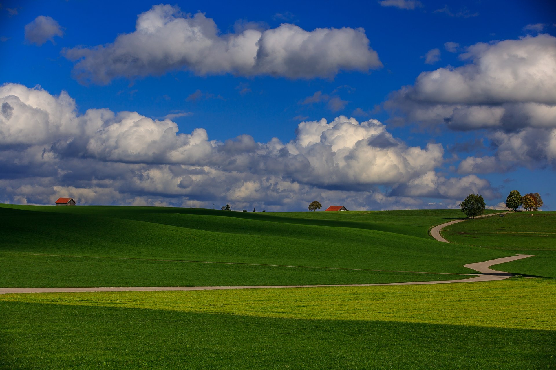 cielo nuvole colline campo erba strada alberi case