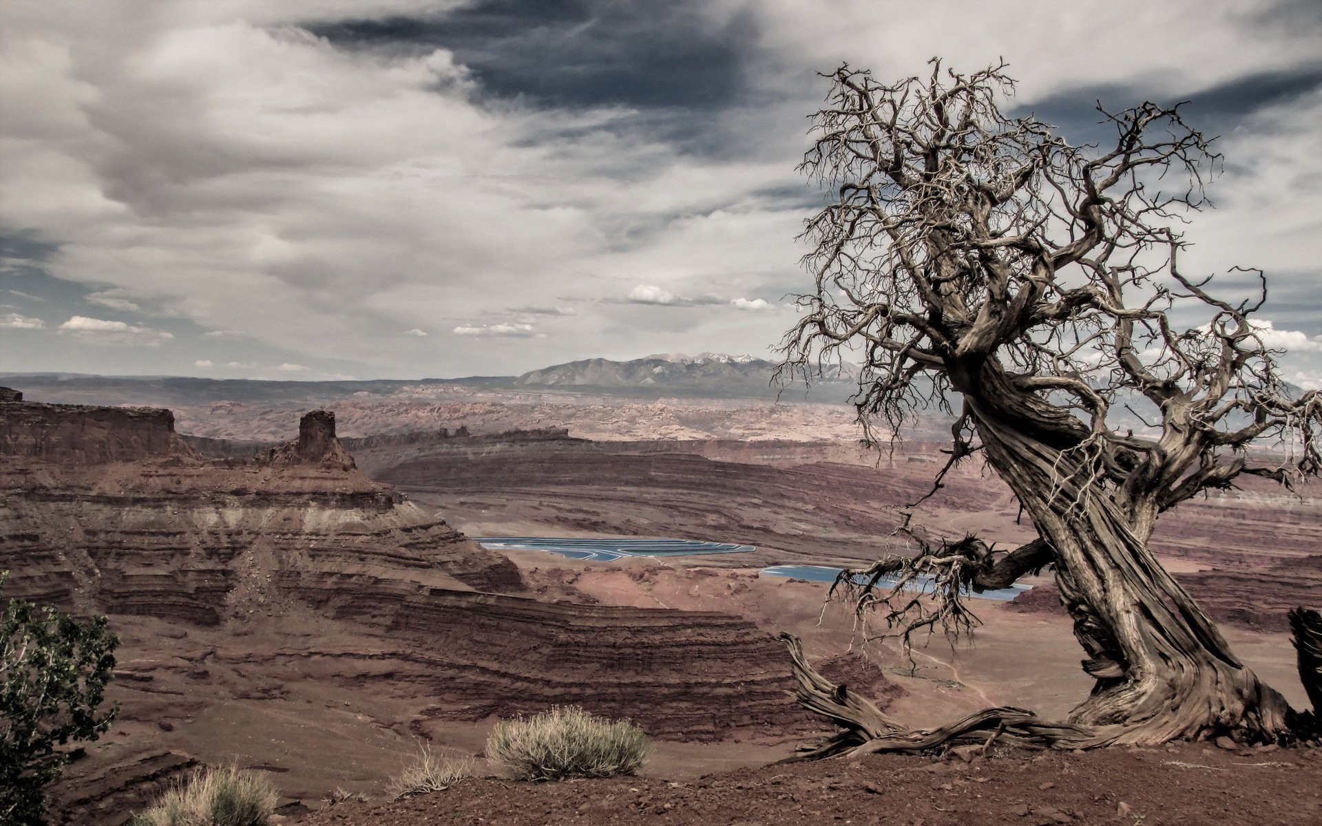 baum berge landschaft