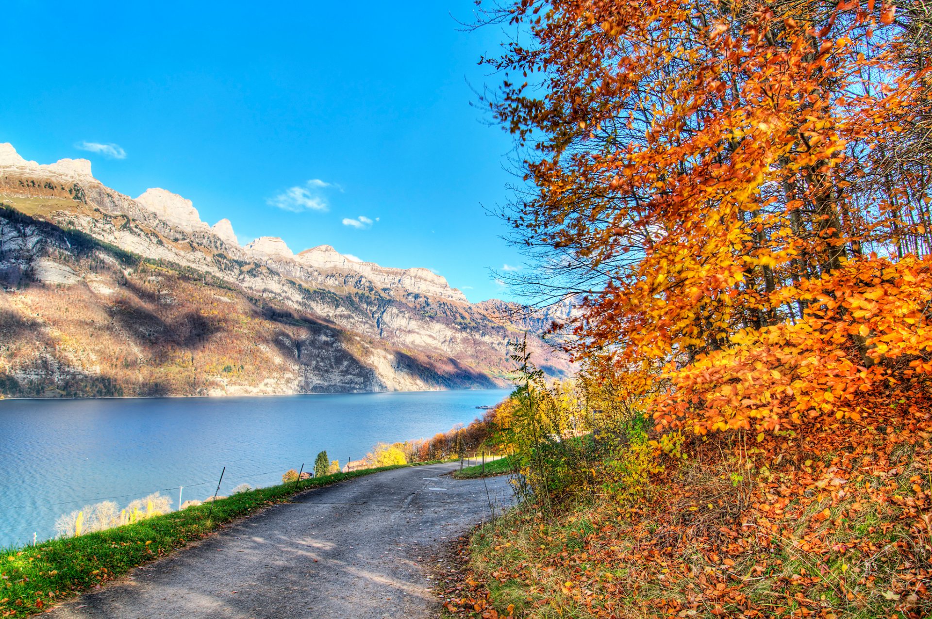 cielo montagne lago strada alberi foglie autunno