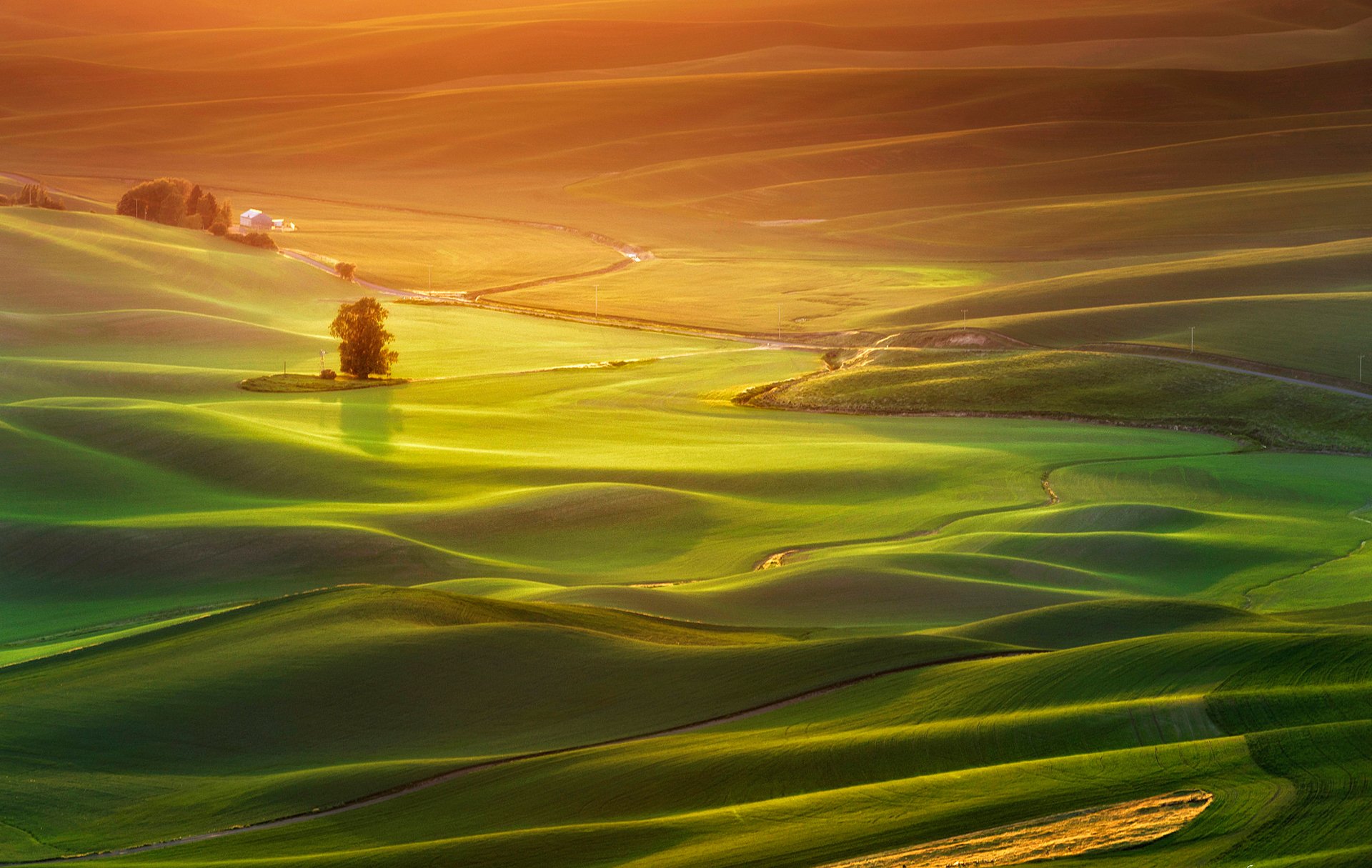 campo colline erba casa alberi tramonto