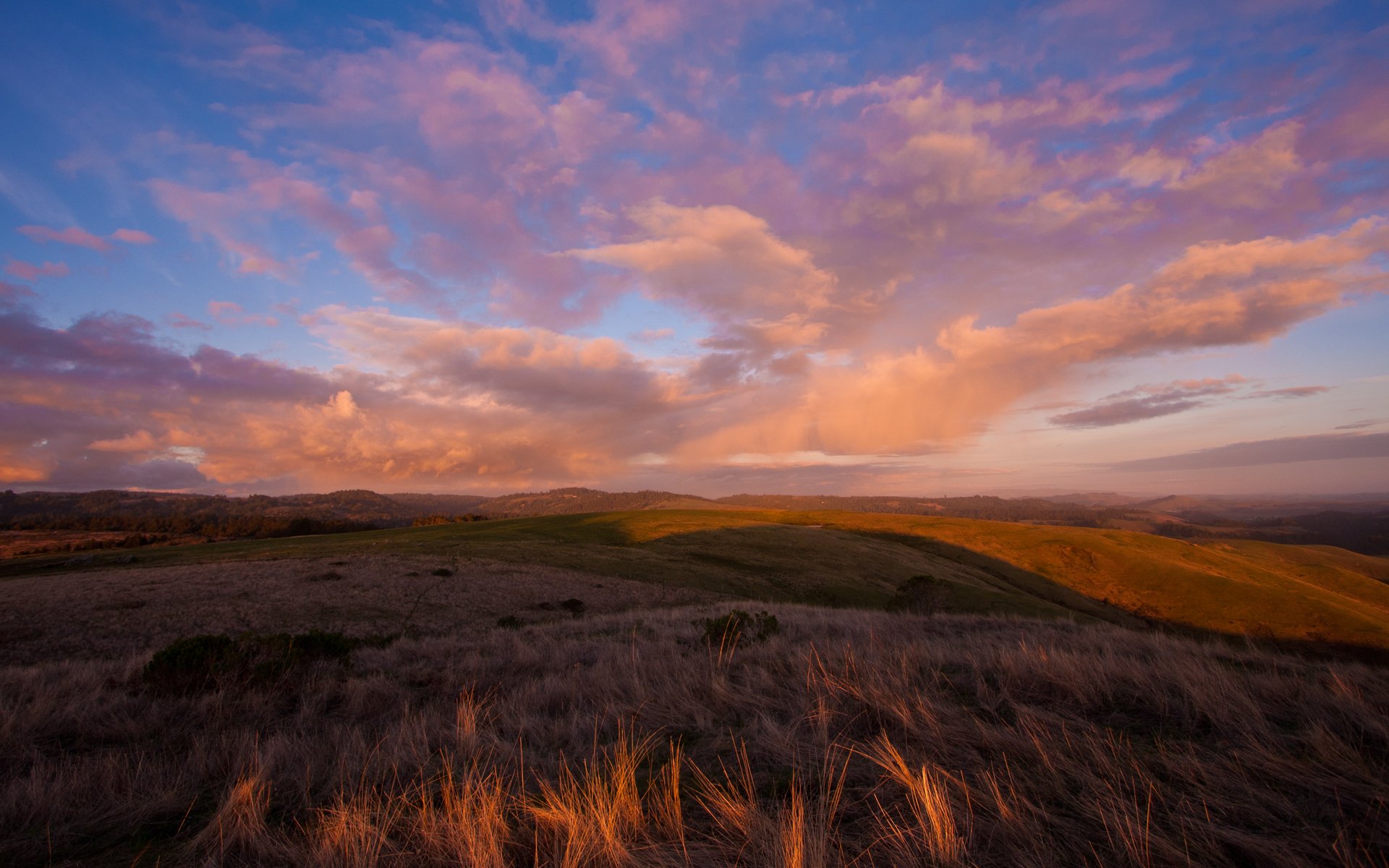 autumn the field hills grass night