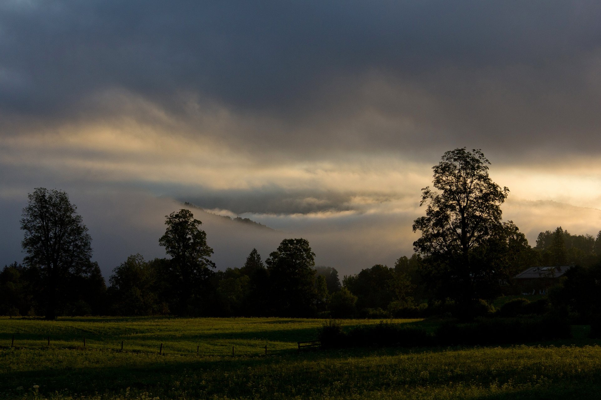 dämmerung bayern bäume strahlen sommer