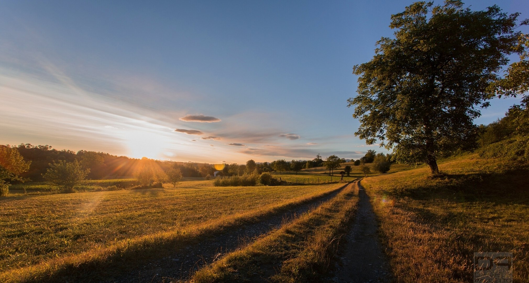 briosco lombardei italien briosco morgendämmerung straße wiese bäume