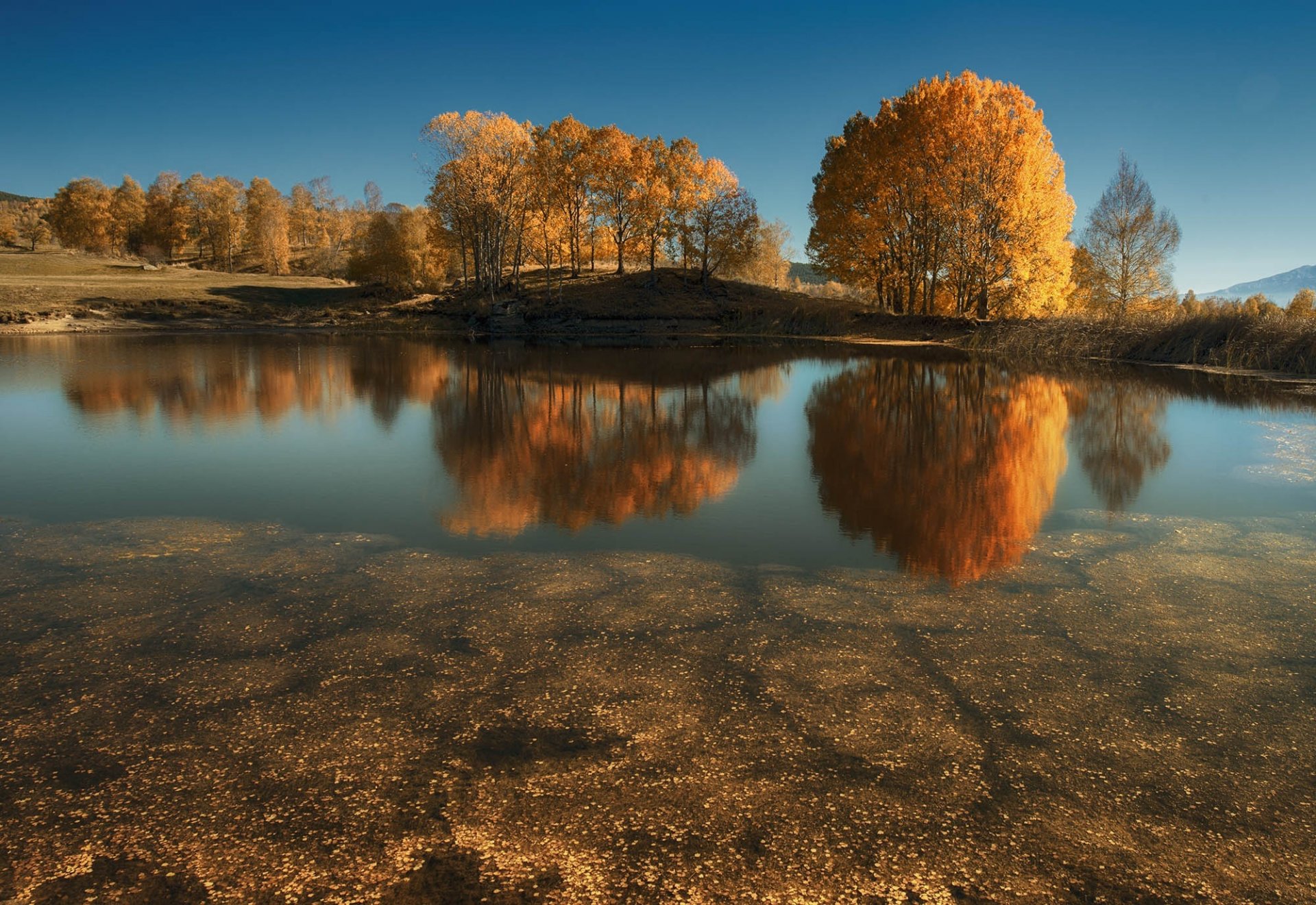 natura autunno lago alberi riflessione