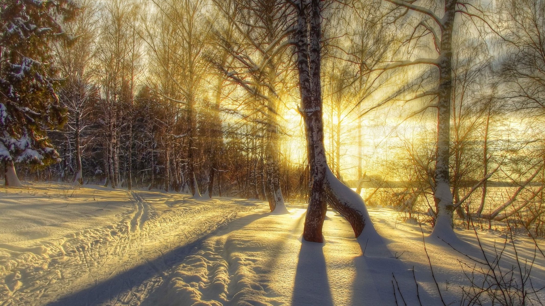 nature hiver neige route arbres forêt ciel paysage hiver blanc sensa nice coucher de soleil