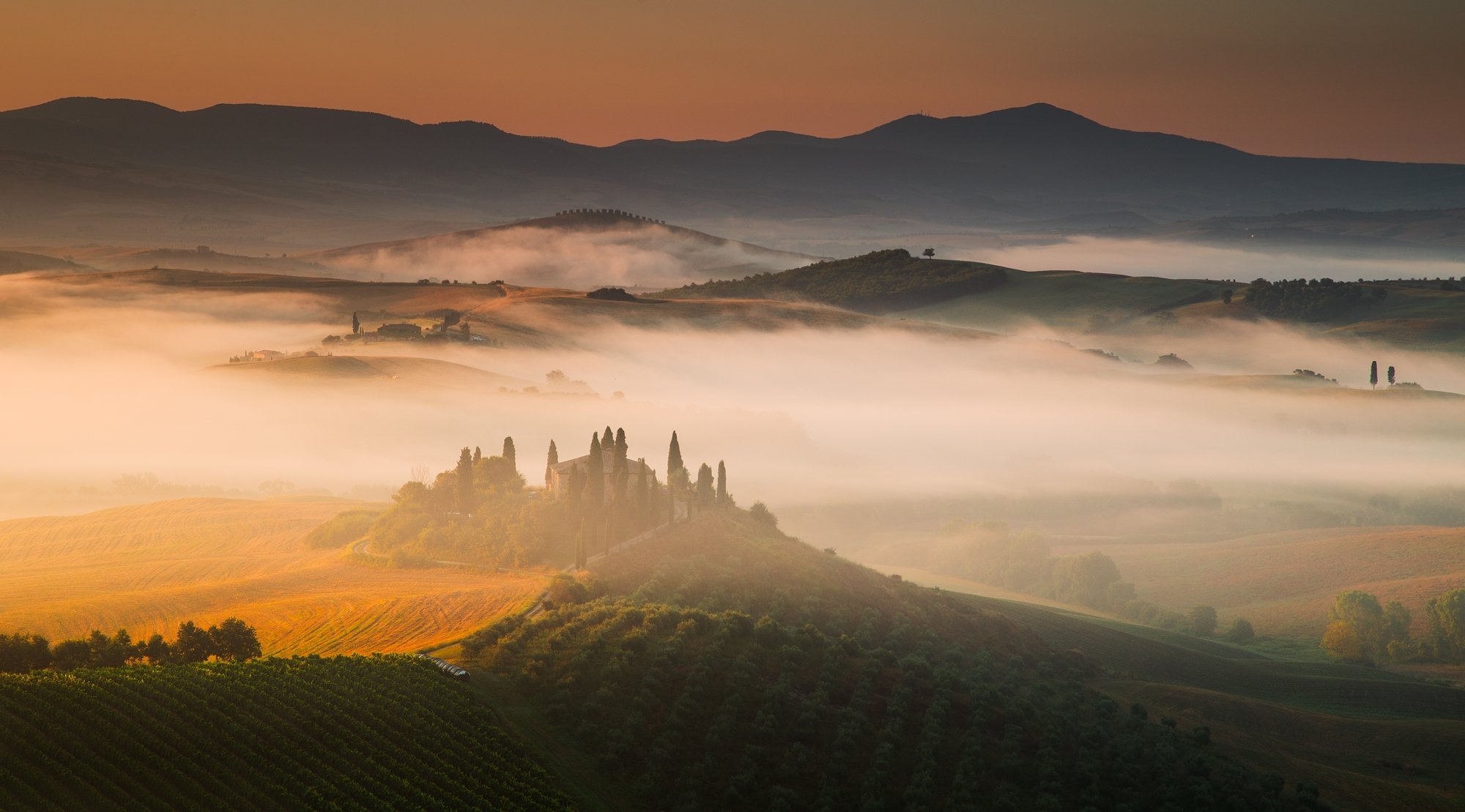 italia toscana colline campi vigneti case nebbia mattina alba