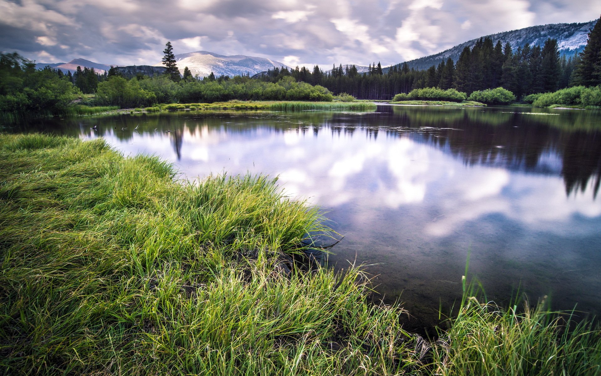 lake summer landscape