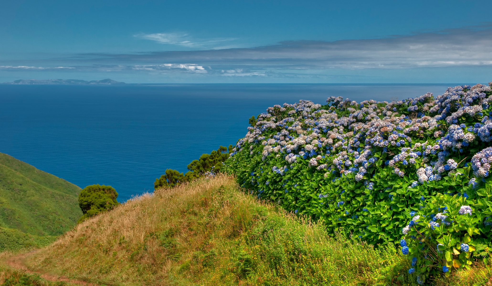 bretagna francia cielo mare montagne erba fiori natura