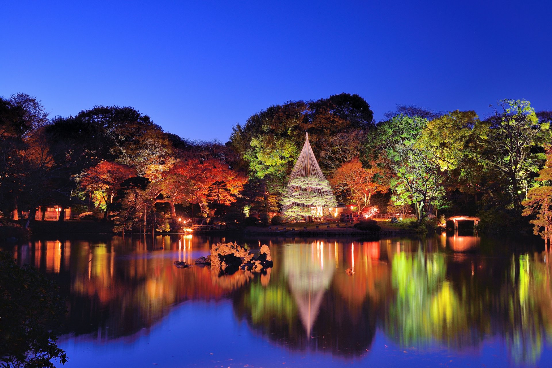 tokio rikugien jardín agua árboles naturaleza noche