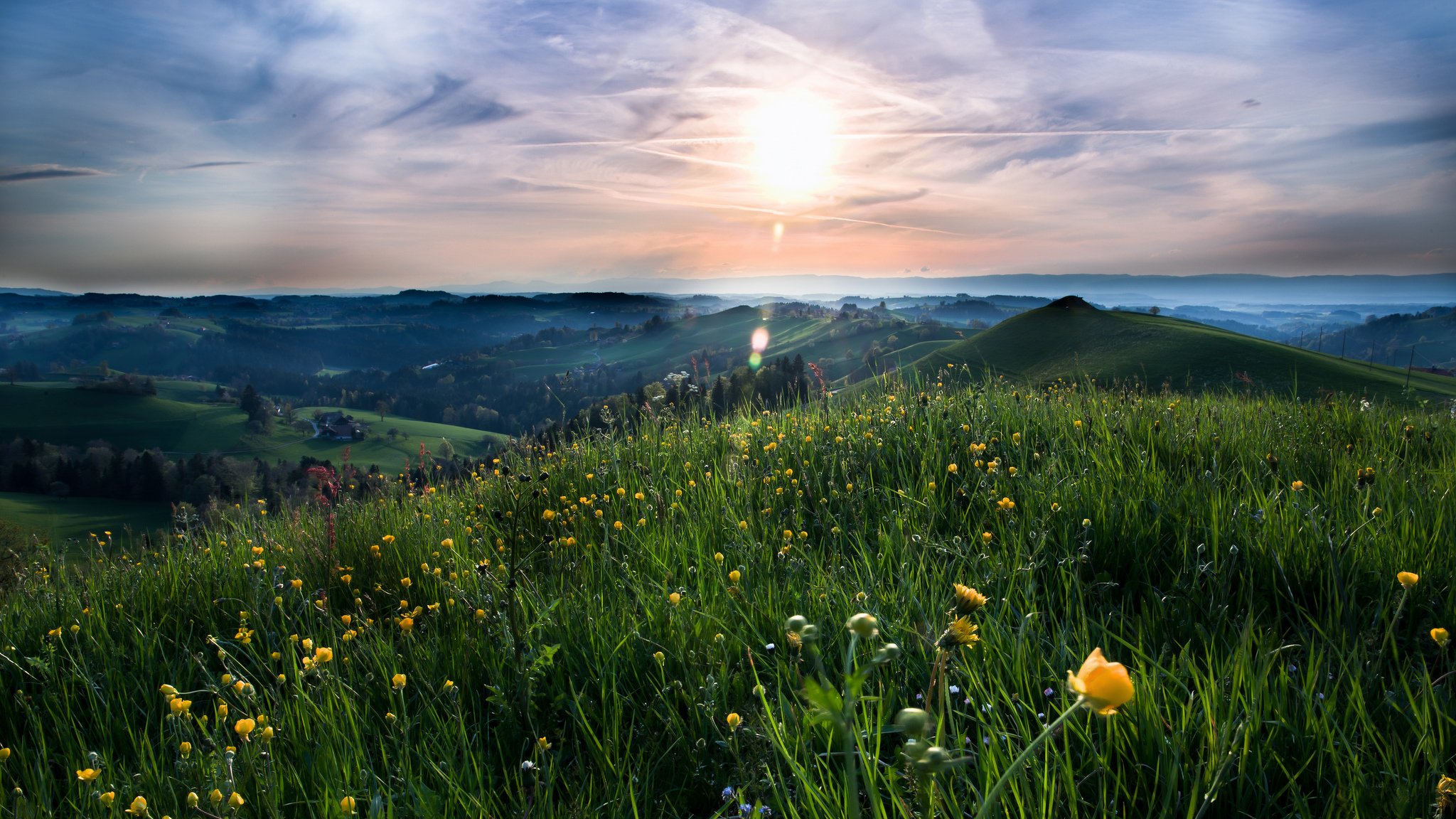 the field meadow grass summer hills flower sun clouds nature landscape