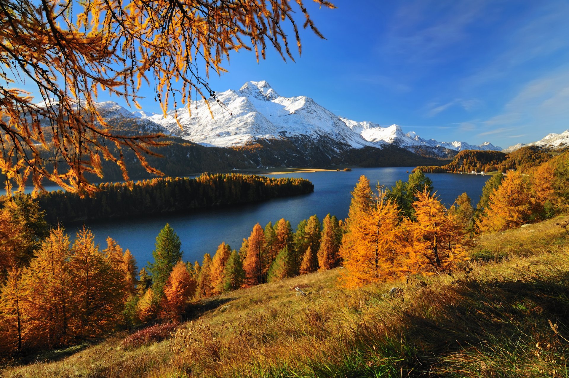 suiza lago silsersee bosque montaña glaciar otoño