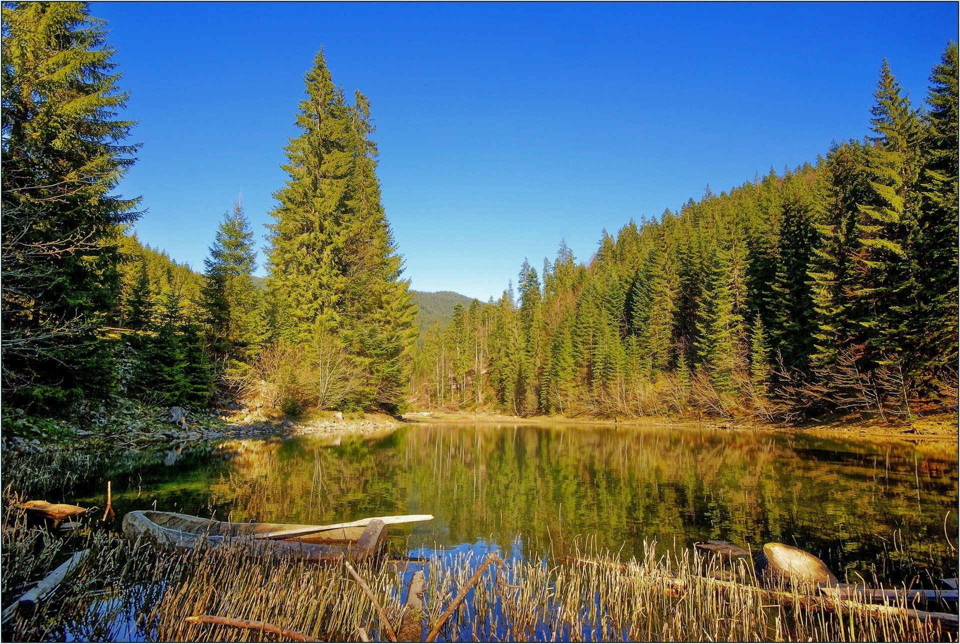 lake boat forest zakarpattia nature photo