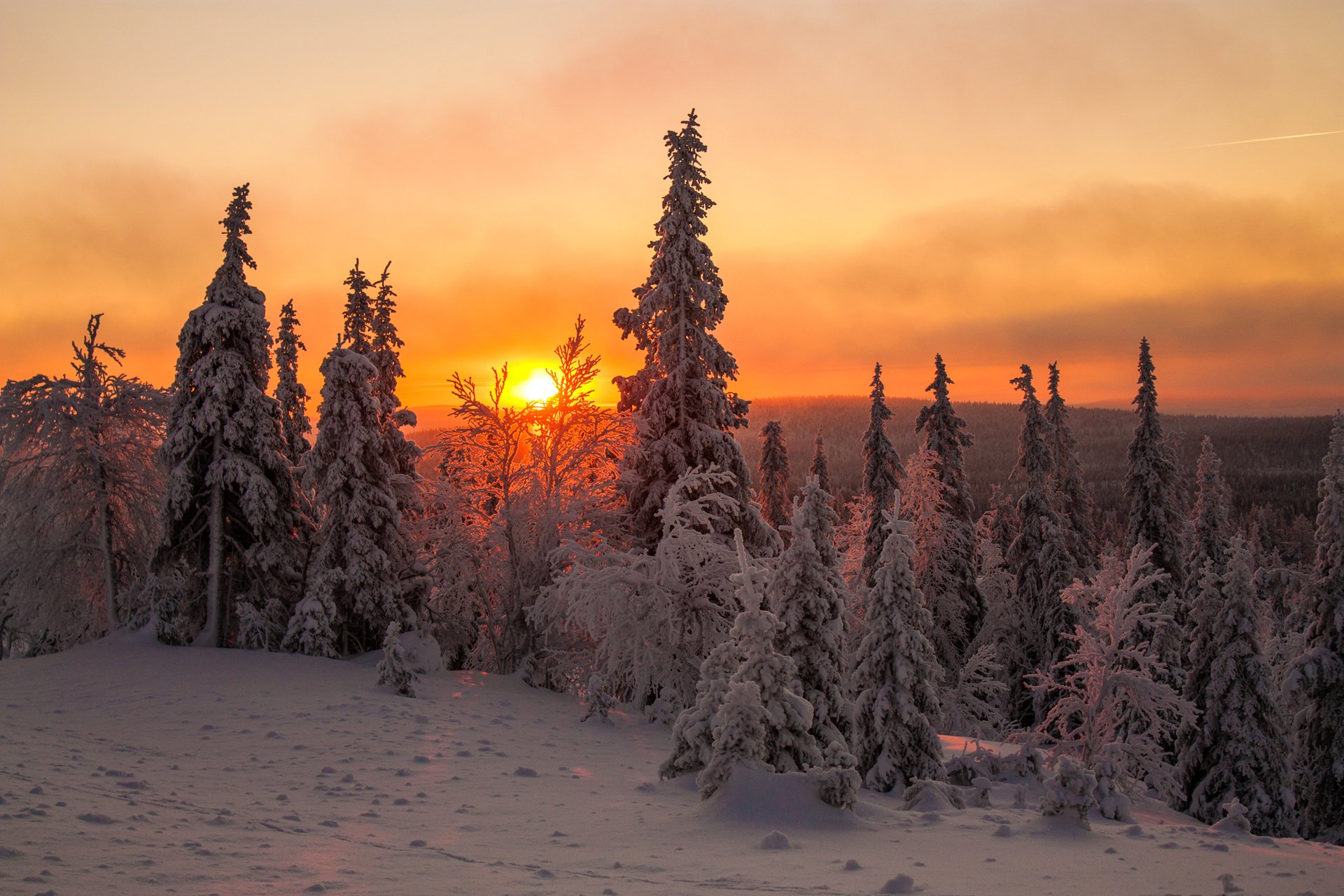 laponia finlandia invierno nieve árboles abeto cielo nubes puesta de sol sol