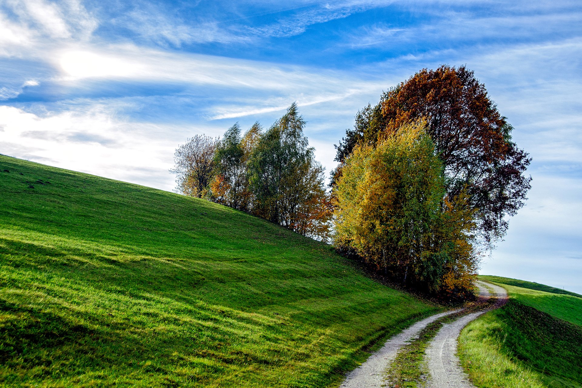 cielo colina pendiente hierba camino árboles otoño