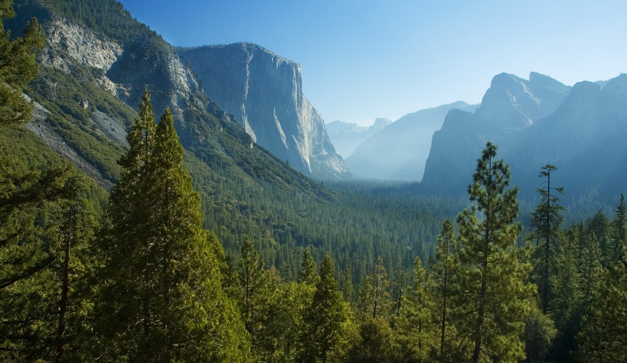 usa yosemite national park kalifornien berge felsen wald bäume schlucht tal dunst panorama