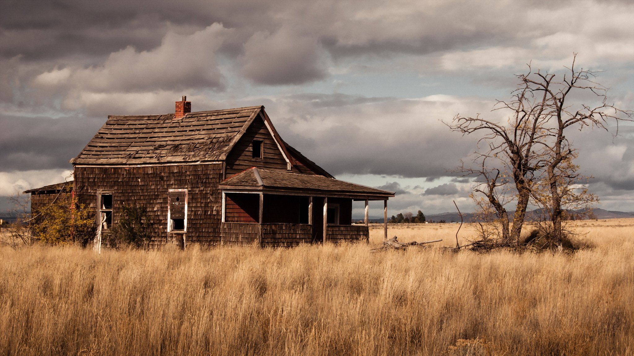 the field house landscape