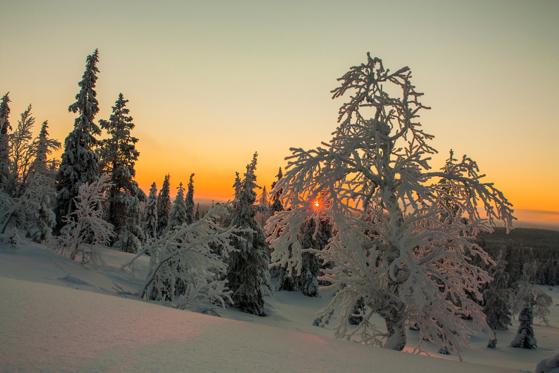 laponie finlande hiver neige arbres ciel nuages coucher de soleil