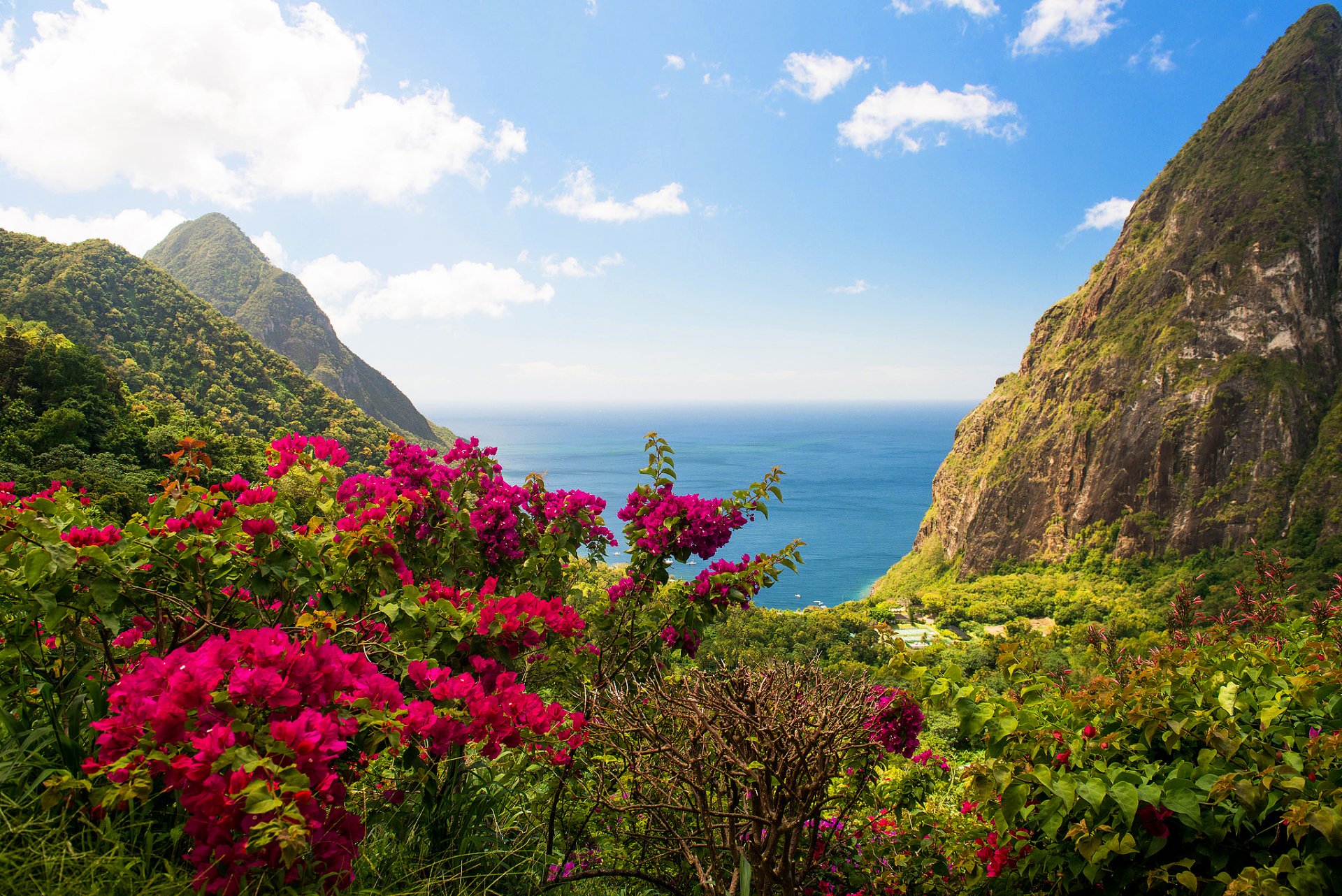 west india island rock sea flower bush green nature landscape view