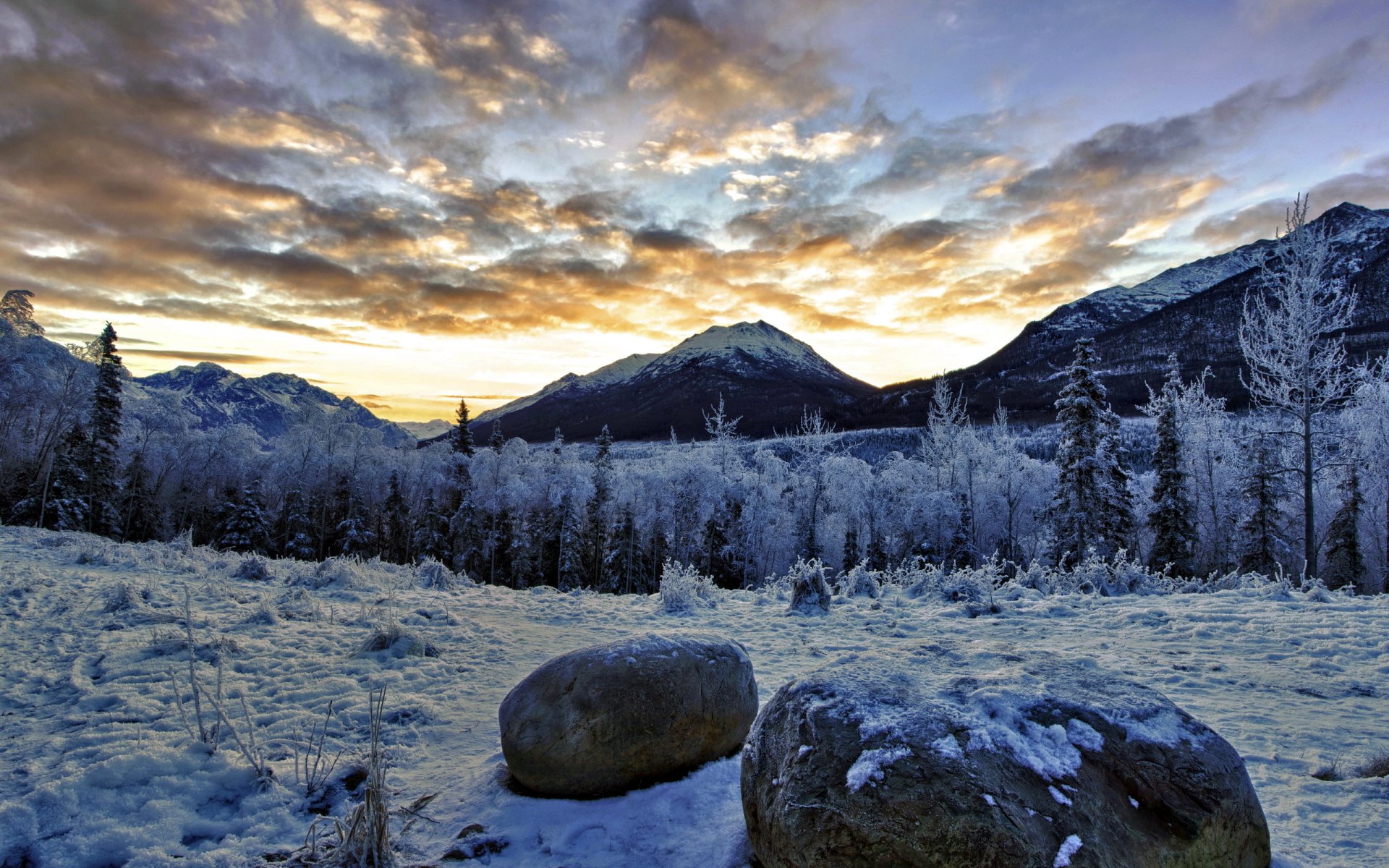 hiver montagnes nature paysage