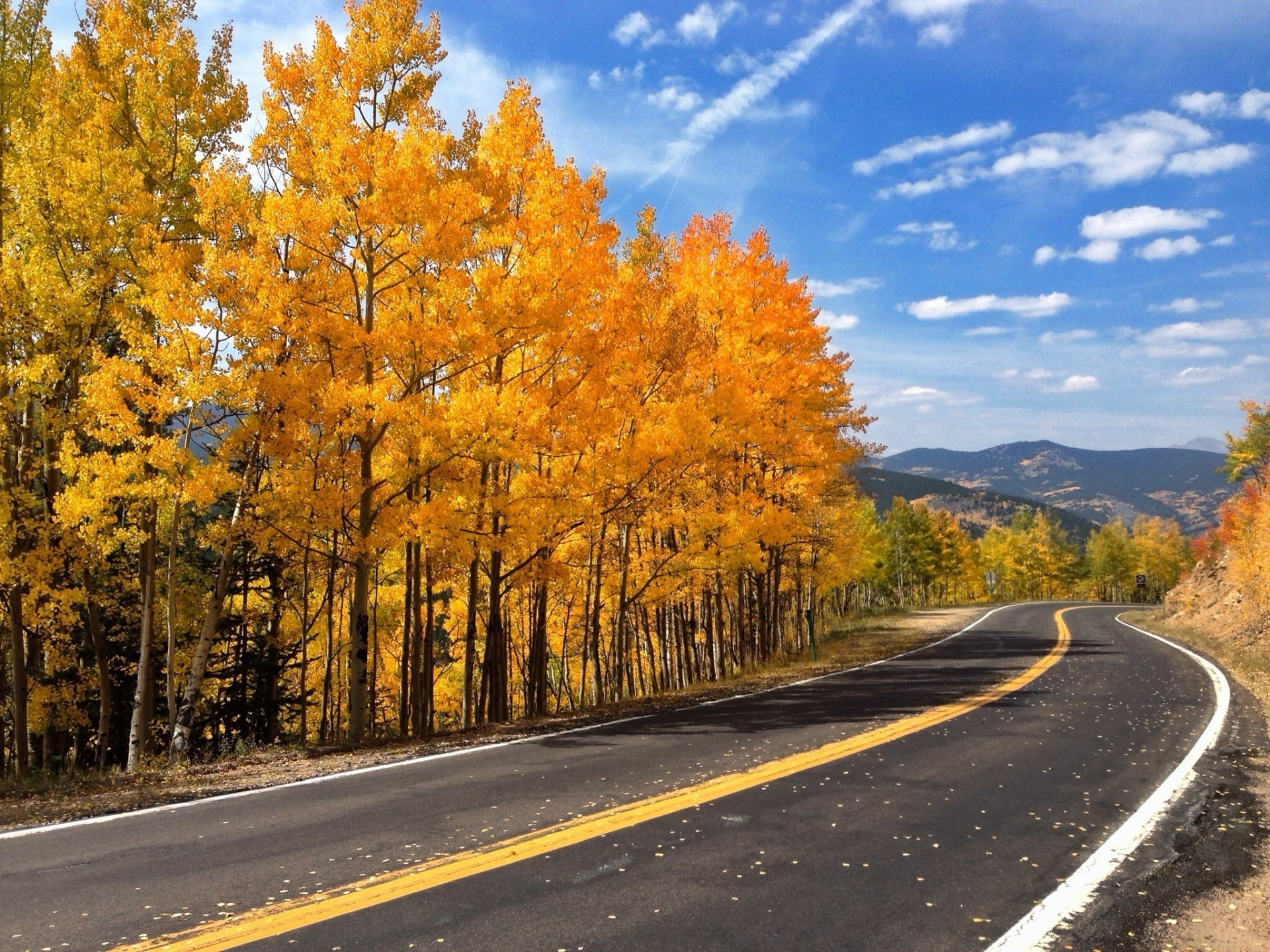 cielo bosque carretera otoño hojas naturaleza montañas árboles