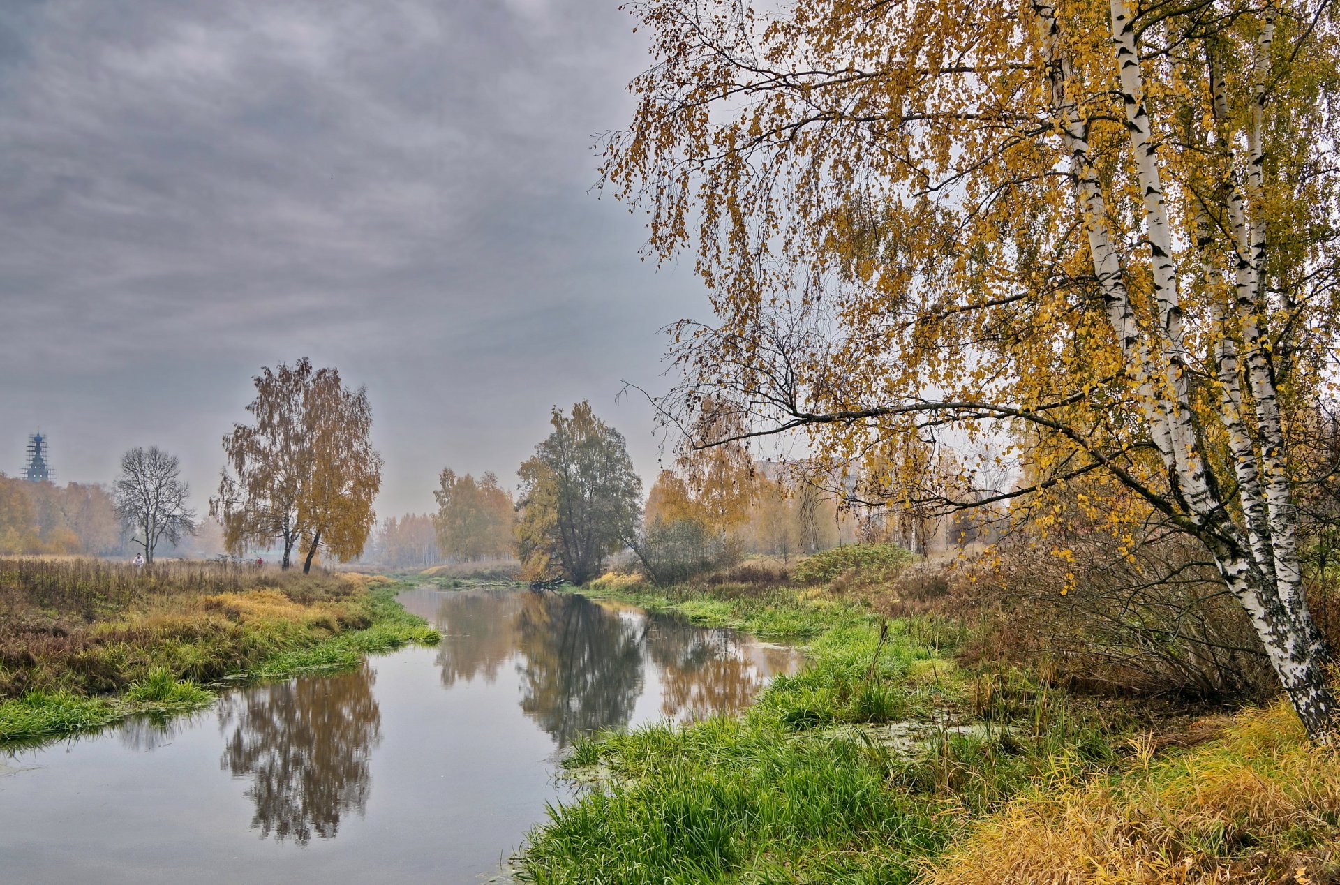 árboles otoño dorado klyazma otoño paisaje río niebla