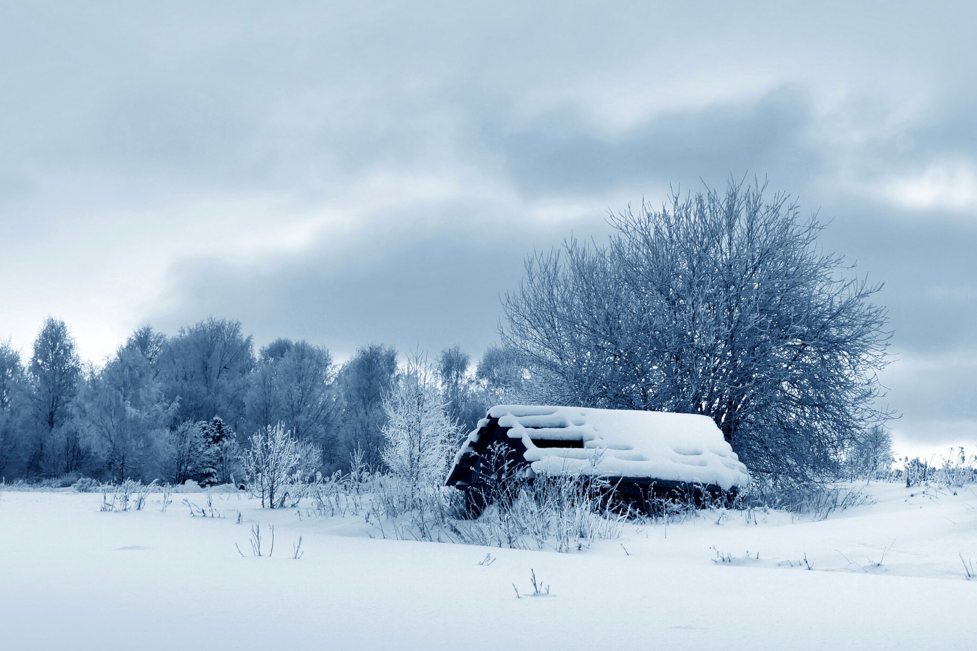 winter bäume schnee natur scheune foto