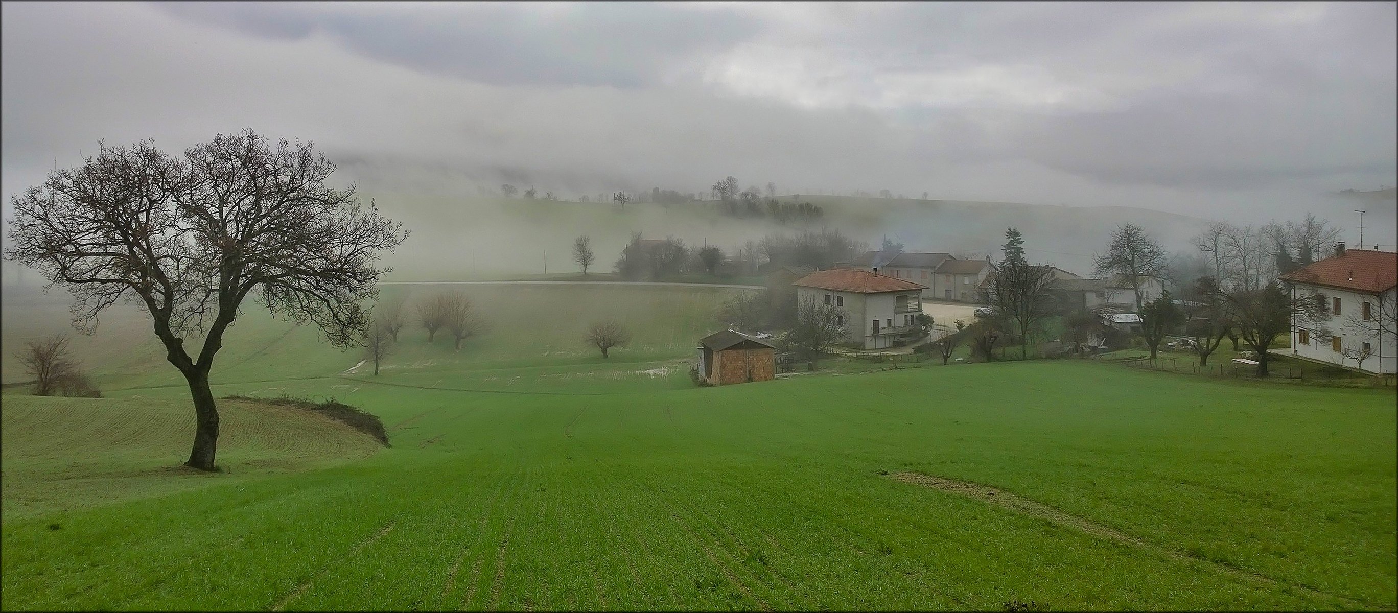 italia campania mañana niebla casa árboles hierba