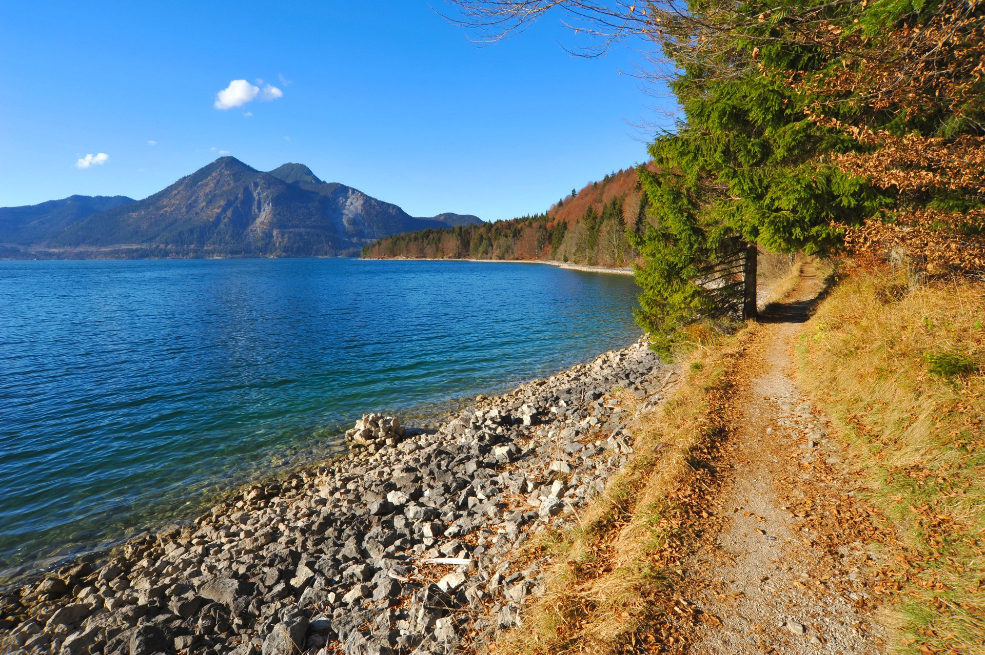 baviera germania cielo montagne riva lago pietre foresta alberi sentiero