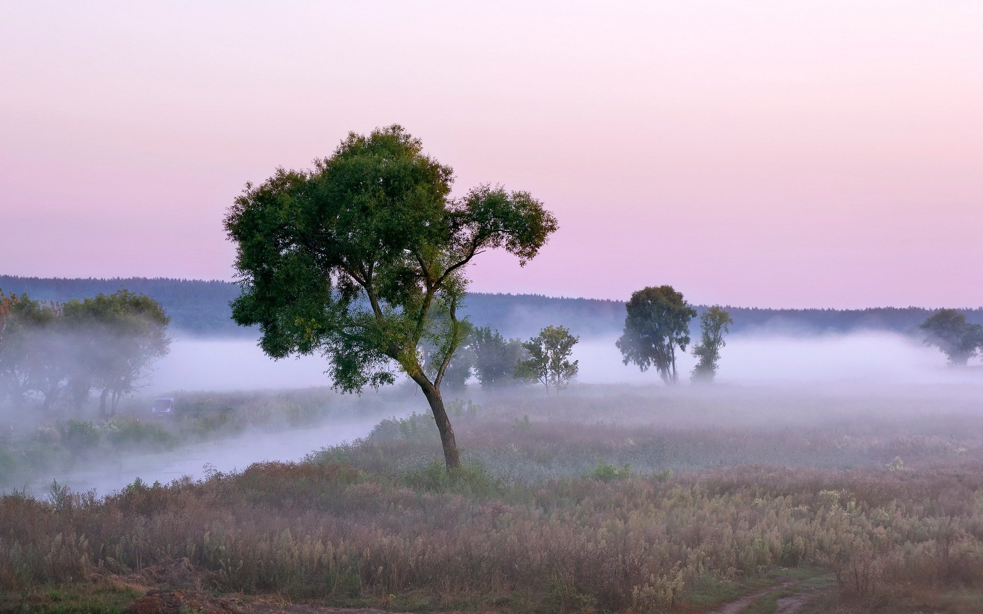 río niebla naturaleza paisaje