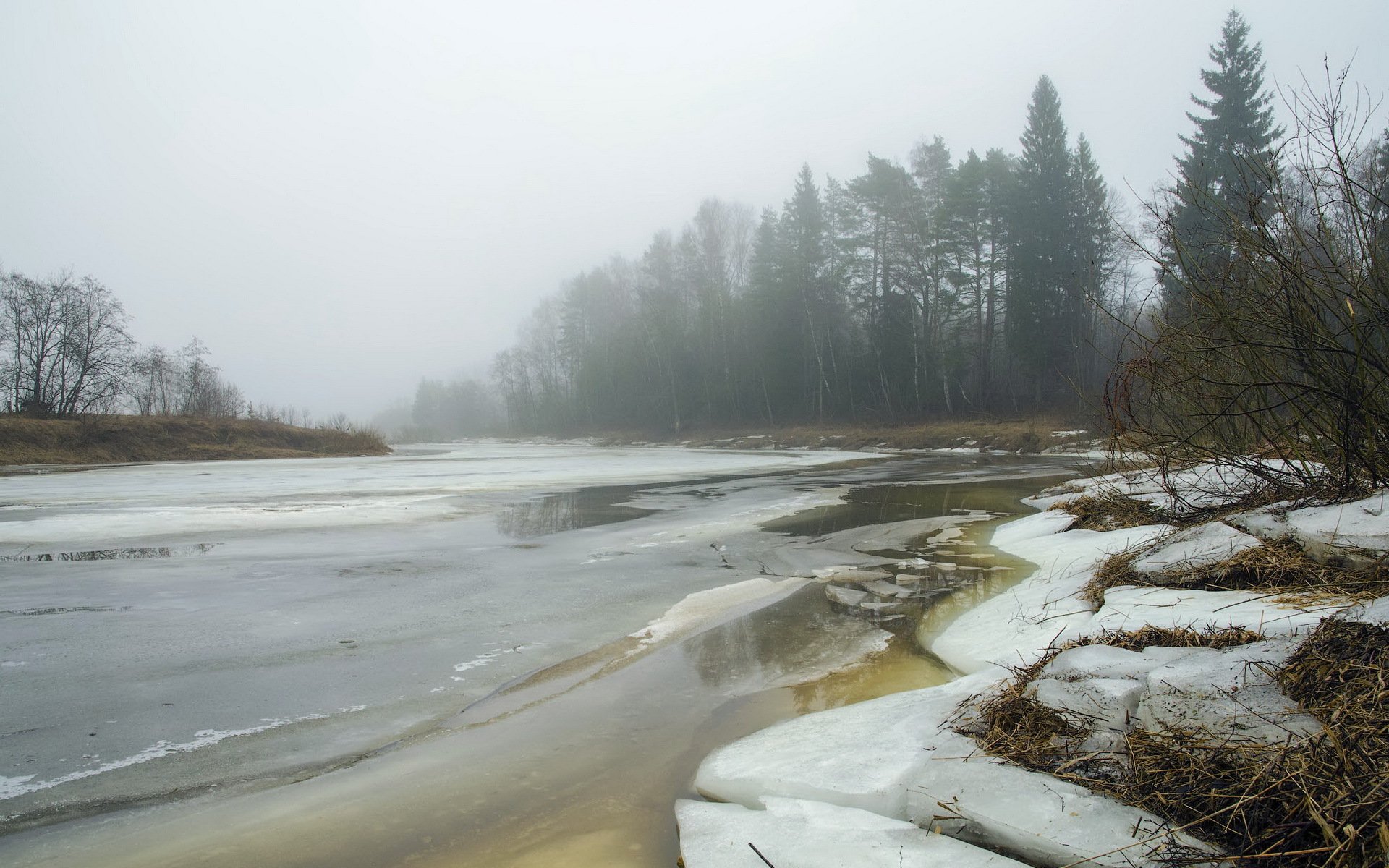 wiosna rzeka mgła natura krajobraz