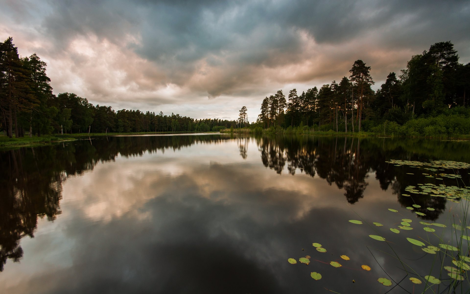 lago foresta natura