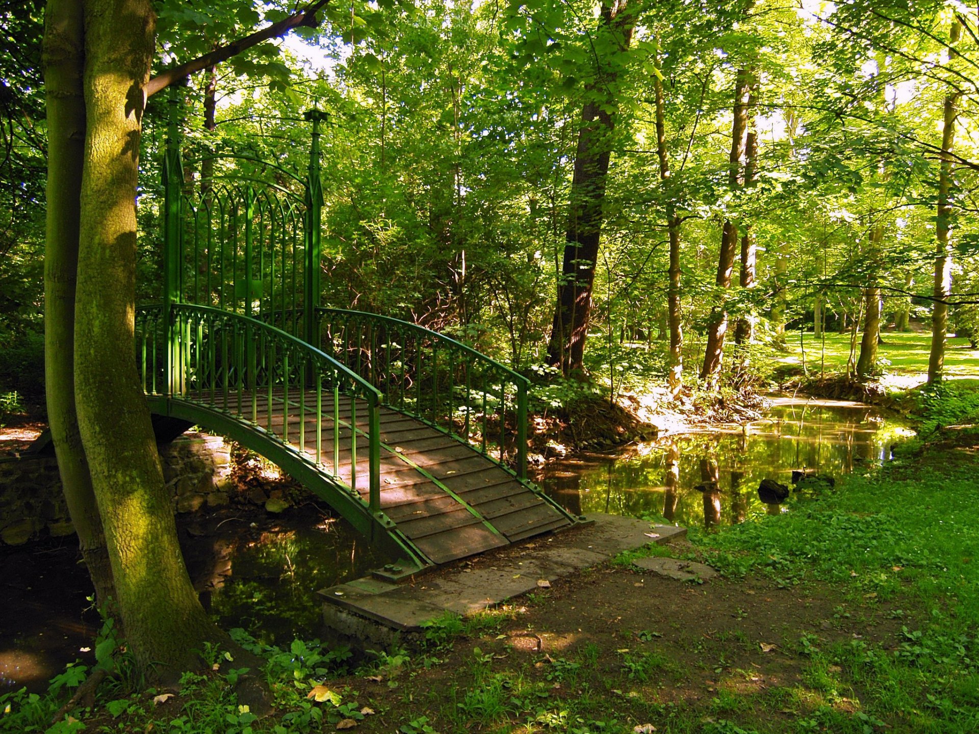 czechy park most teplice drzewa natura zdjęcia