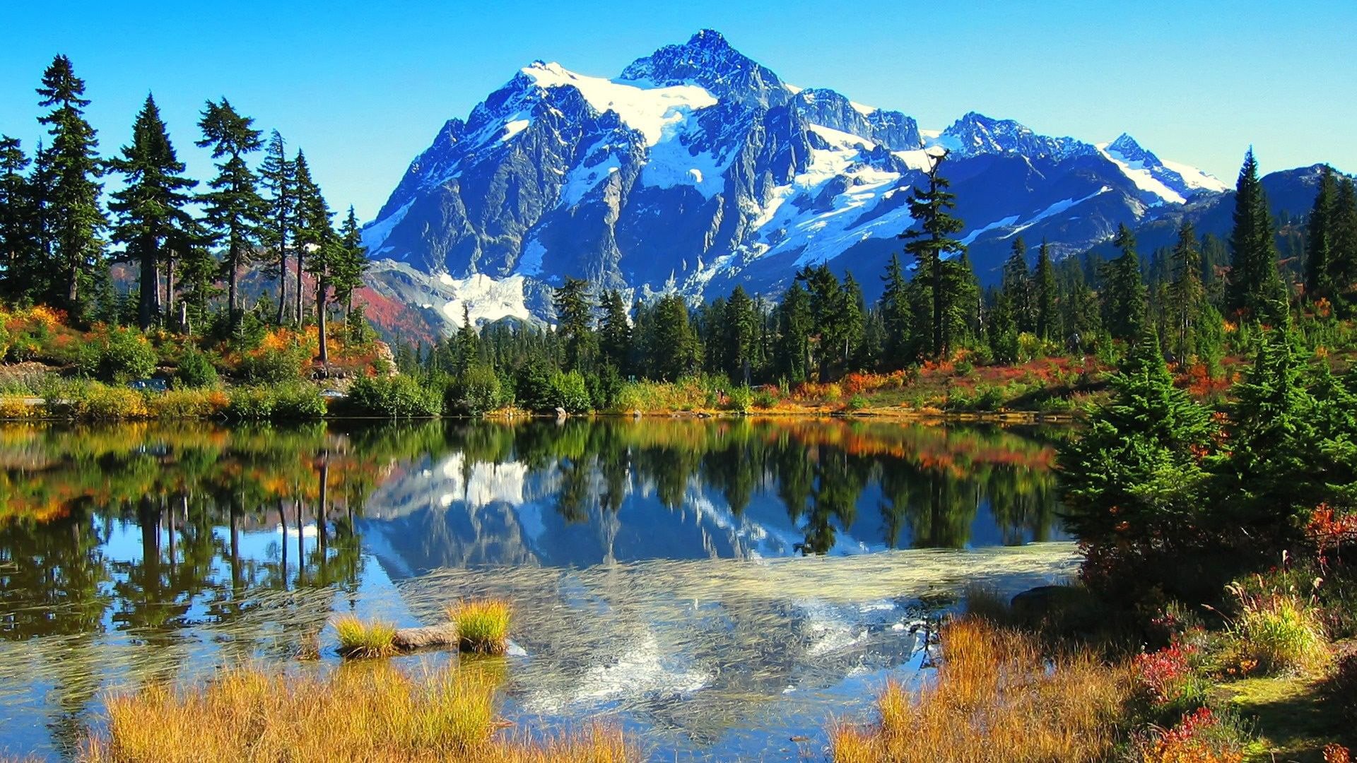 bosque montañas lago hierba árboles cielo naturaleza foto