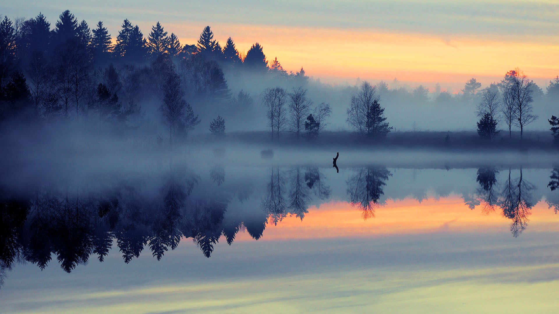 cielo nuvole tramonto alberi lago nebbia riflessione