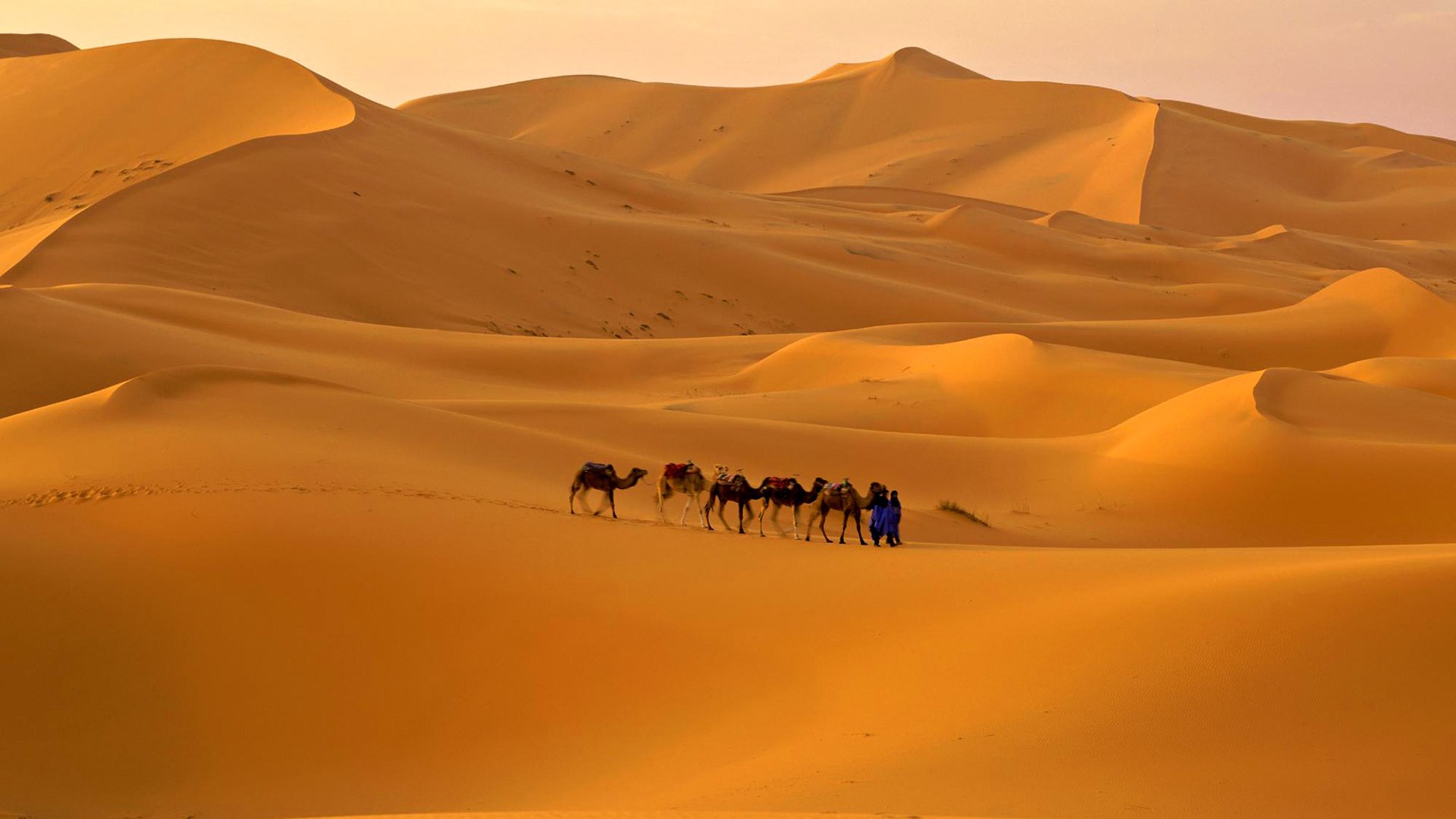 cielo deserto carovana cammello sabbia barchan