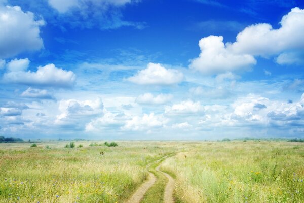 Un camino que corre en la distancia a través del campo, bajo el cielo azul