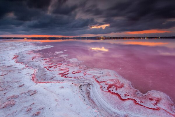 Un lago en la noche como un organismo vivo