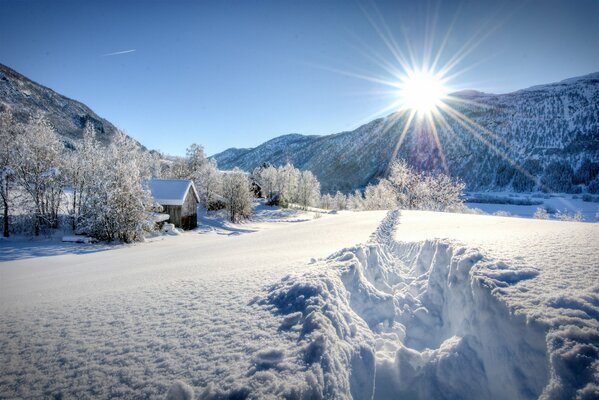 A frosty and sunny day in nature