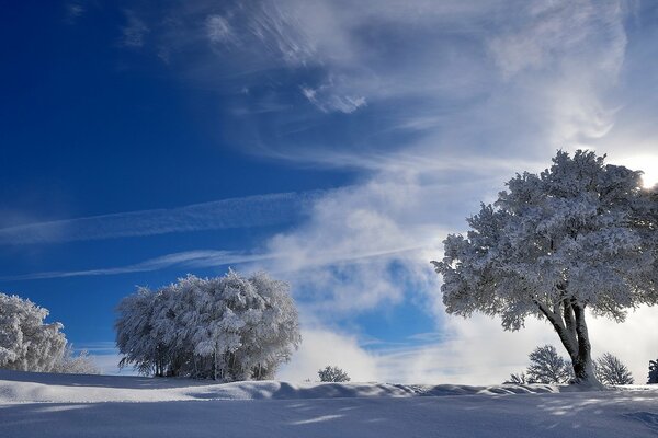 Beautiful nature in the middle of winter