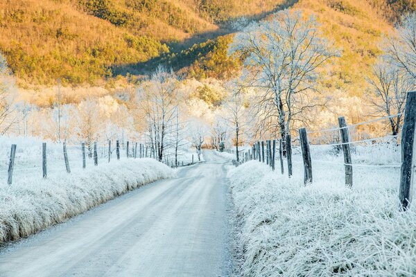 Camino nevado a las montañas donde el otoño