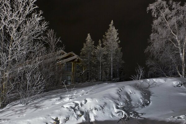 Maison dans les montagnes au milieu des arbres couverts de neige