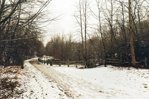 Der Weg in die Kindheit im frostigen Winter