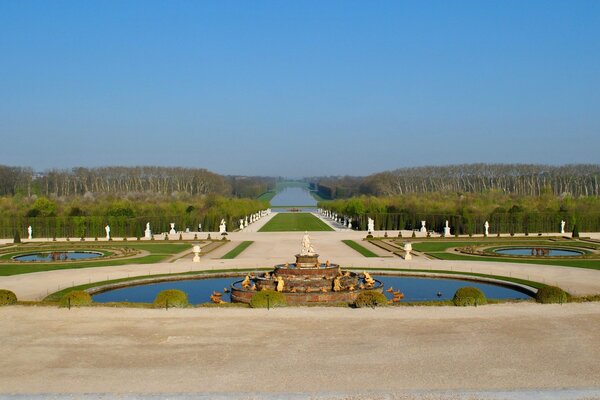 A park surrounded by a young forest