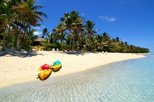 Maldives. Mer et palmiers sur l île