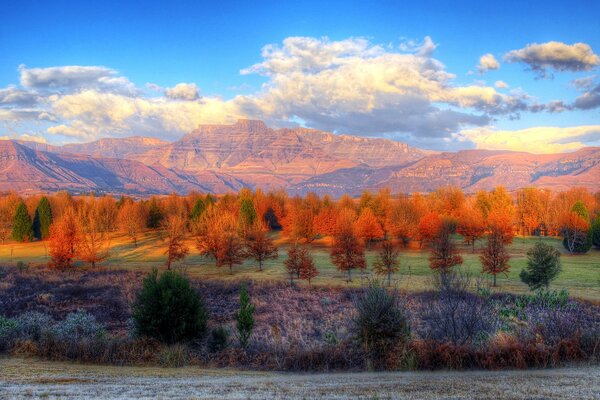 Bosque de otoño en medio de montañas con nubes