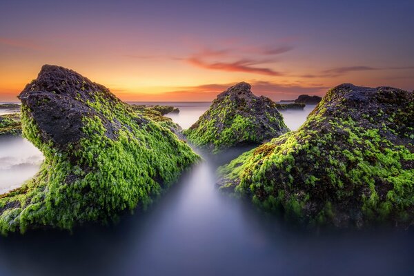 Evening sunset at the seashore