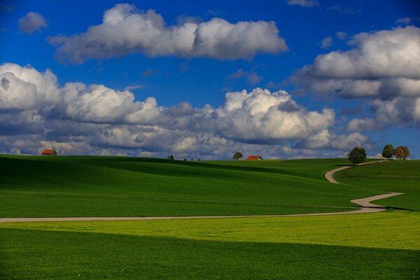 A green field with a blue sky. Minimalism