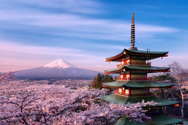 Pagoda surrounded by cherry blossoms